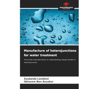 Manufacture of heterojunctions for water treatment: From multi-step fabrication to understanding charge transfer in heterojunctions