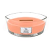 Manuka Honey Scented Candle