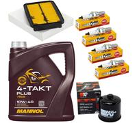 Manutenzione Olio 4L Set Filtro Aria Candele per Suzuki GSF 650 Bandit 08-16