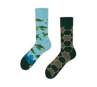 Many Mornings Calzini Turtle Time, Turtle Time, 39-42