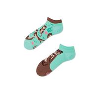 Many Mornings - Otter Stories Low - Calze da sneaker miste - Lplus, martora d'acqua, Aqua, Braun, 39-42