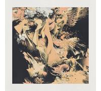 Many Voices Speak Gestures (Vinyl LP) 12" Album