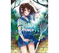 Manyako Art Book 2 Strike the Blood, spedito dal Giappone