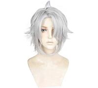 MAOMA Parrucca Cosplay Anime IDOLiSH7 Yaotome Gaku Parrucca，Silver Gray Fluffy Short Parrucca Cosplay，con Rete per Parrucca Gratuita，per Festa Carnevale Halloween Cosplay Parrucca