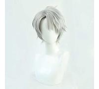 MAOMA Parrucca Cosplay Anime VTuber Kaida Haru Parrucca,Silver Gray Short Parrucca Cosplay,con Rete per Parrucca Gratuita,per Festa Carnevale Halloween Cosplay Parrucca