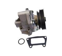 MAPCO 21024 Pompa acqua per FIAT PUNTO (176) PALIO (178BX) Siena (178, 172)