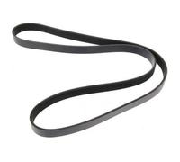 MAPCO 261453 Cinghia servizi per VW Polo Hatchback (6R1, 6C1) POLO (9N) 1453mm