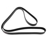 MAPCO 261973 Cinghia servizi per FORD FOCUS (DAW, DBW) FOCUS Station wagon (DNW)