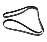 MAPCO 262498 Cinghia servizi per AUDI Q5 (8RB) A4 Avant (8K5, B8) A5 Coupe (8T3)