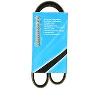 MAPCO Cinghia Poly-V 250875 Compatibile con: ALFA ROMEO SPIDER, SZ, CITROËN ZX, ZX Break, FORD ESCORT V, ESCORT V Stufenheck, ESCORT V Turnier, ESCORT VI, ESCORT VI Cabriolet, ESCORT VI Express