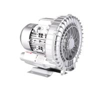 MAPFei 1 soffiatore a vortice Industriale ad Alta Pressione - Potente Ventilatore centrifugo for la rimozione della Polvere, l'aerazione e la Ventilazione(250w)