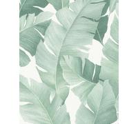 Avalon 31650 - Carta da parati per camera da letto, soggiorno o cucina, 10,05 x 0,53 m, colore: bianco e verde