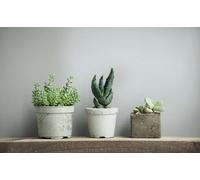 marburg Carta da parati grigia blu tinta unita con struttura leggera, moderna, per soggiorno, camera da letto, cucina, 10,05 x 0,53 cm