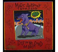 MARC ANTHONY THJOMPSON - dog in the road (of life)