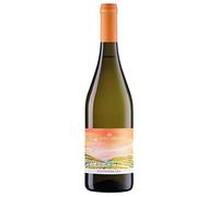Marca Trevigiana Souvignier Gris IGT Soligo 2023 0,75 ℓ