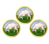 Marcatori Di Palla Da Golf Battering Ram