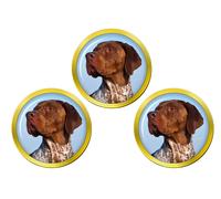 Marcatori Di Palla Da Golf Braque Français