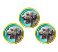 Marcatori Di Palla Da Golf Lagotto Romagnolo