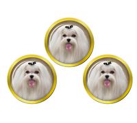 Marcatori Di Palla Da Golf Maltese Terrier