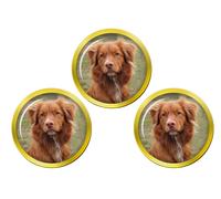 Marcatori Per Palla Da Golf Nova Scotia Duck Tolling Retriever