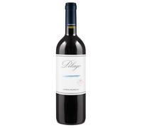 Marche IGT Rosso Pelago Umani Ronchi 2021, 0,75 ℓ