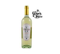 MARCHESI GINORI LISCI VIRGOLA 2024 6BT VINO BIANCO COSTA TOSCANA IGT TOSCANA