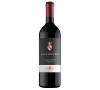 Chianti Classico DOCG Fonterutoli Marchesi Mazzei 2019 0,75 ℓ