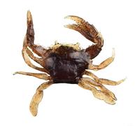 Marchfunny - Esca morbida a forma di granchio, 125 mm, per pesca in acqua salata, con artigli dettagliati e segmentazione delle gambe, supporta la cinematica naturale del nuoto (marrone)