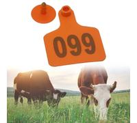 marchi auricolari 100 Pezzi Di Etichette Auricolari Per Bovini Personalizzate, Etichette Auricolari In Plastica Per Bestiame Con Etichette Auricolari Numerate(Orange,Cow)