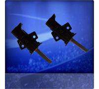 Marchi Carboncini Motore Adatto per Bosch Esclusivo Maxx Wfl 100 A