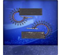 Marchi Carboncini Motore Adatto per Bosch Maxx 4 Wfc 1262, 1263