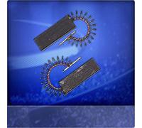 Marchi Carboncini Motore Adatto per Bosch Wfl 2450, Wfl 2451, Wfl 2460, Wfl 2461
