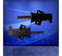 Marchi Carboncini Motore Adatto per Bosch Wfl 2471 Ee 15, 16, Wfl 2480