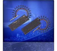 Marchi Carboncini Motore Adatto per Bosch Wfl 284 S, 285 E, 1000, 1200