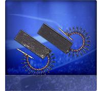Marchi Spazzole di Carbone Adatto per Bosch Wof 1800, 2000, 2001, Wok 2001