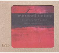 Marconi Union Beautifully Falling Apart: (Ambient Transmissions Vol. 1) (CD)