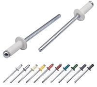 Marcopol Confezione da 1000 rivetti ciechi verniciati 4,0 x 8 mm, testa a cupola, DIN 7337, rivetti in alluminio e mandrino in acciaio, rivetti pop (1000, bianco puro RAL 9010)