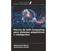 Marcos de Soft Computing para sistemas adaptativos e inteligentes