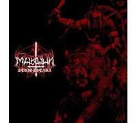 MARDUK - STRIGZSCARA WARWOLF LIVE 1993 PICTURE DISC - Vinyl Record 12 - K72z