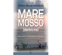 Mare mosso (dentro me). Racconti e frammenti di diario