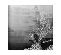 MARELA, BRIANA - ALL AROUND US