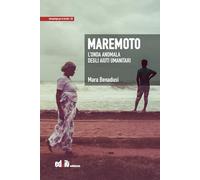 Maremoto. L'onda anomala degli aiuti umanitari