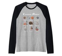 Marginalia Medievale - Snailiary Medievale - Lumache - Spagnolo Maglia con Maniche Raglan