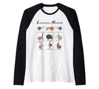 Marginalia Medievale - Snailiary Medievale - Lumache - Spagnolo Maglia con Maniche Raglan