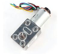 Marhynchus Motoriduttore DC 12V Encoder Motoriduttore Coppia Elevata Scatola Ingranaggi a Vite Senza Fine da 10 RPM a 100 RPM Albero di Uscita Verticale Autobloccante per Attuatore Serratura Porta