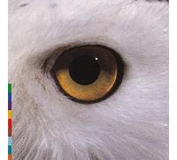 Mari Boine Persen - Gula Gula [UK Import]