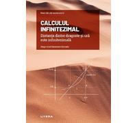 Mari idei ale matematicii. Calculul infinitezimal - Hugo Ariel Navarrete Hurtado