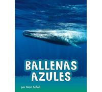Mari Schuh Ballenas Azules (Blue Whales) (Copertina rigida) Animals en Español