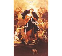 Maria che scioglie i nodi (cartolina)