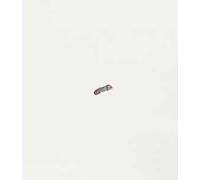 Maria Morganti. Catalogo della mostra (Torino, 30 ottobre 2024-16 marzo 2025)